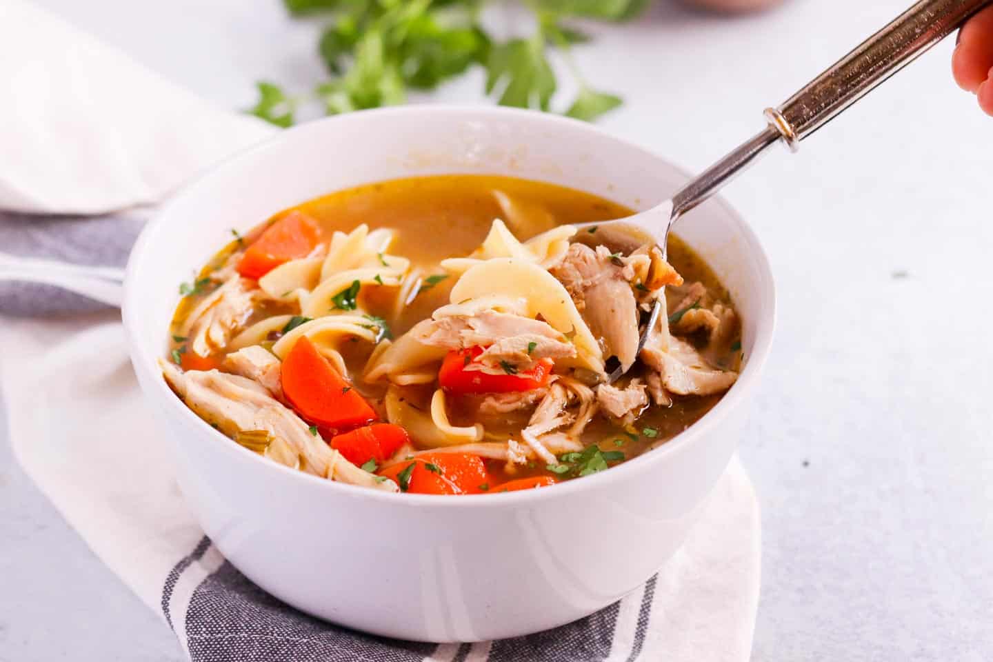 chicken noodle soup raised with a spoon